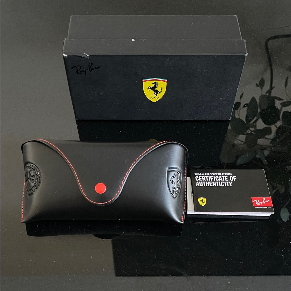 Ray-Ban Black and Red Glasses Case
